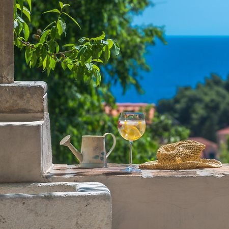 Villa Flores Garden Dubrovník Exteriér fotografie